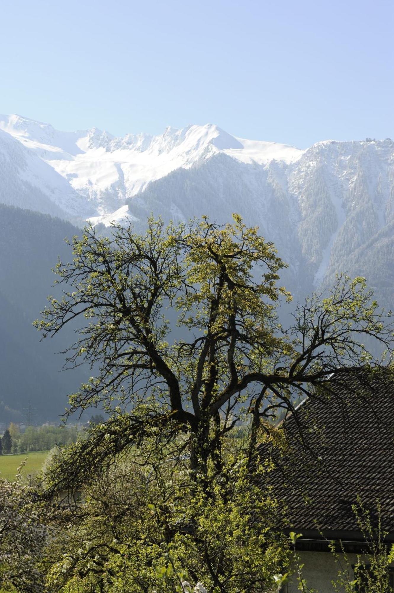 Oberstockachhof Apartman Schwendau Kültér fotó